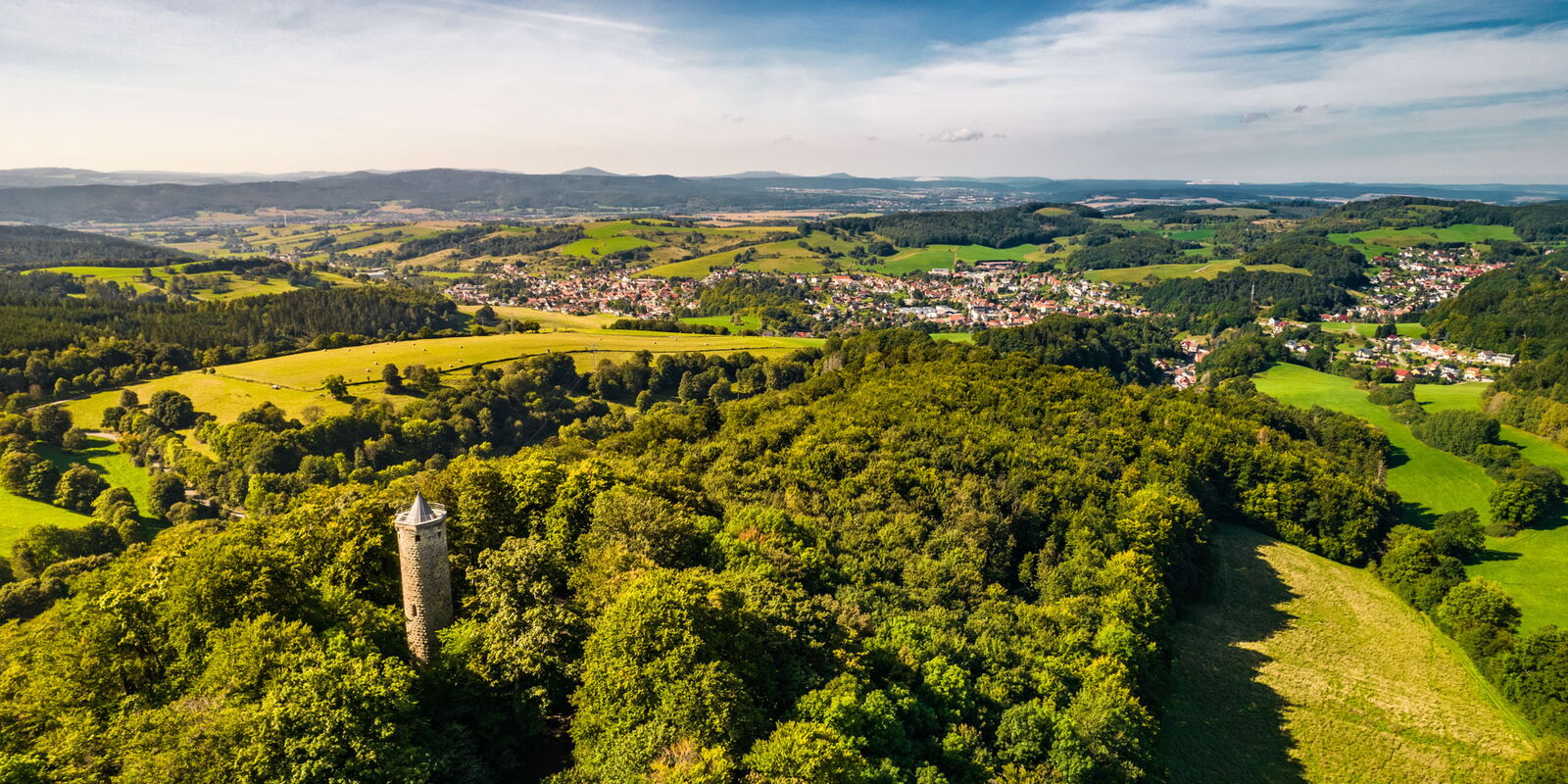 Wald mit Blich auf Turm